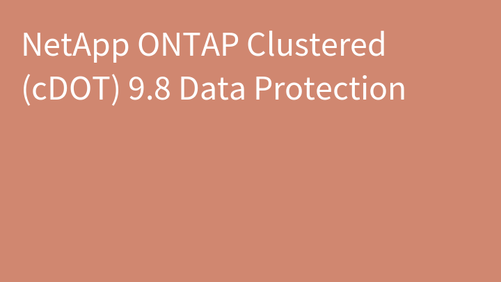 NetApp ONTAP Clustered (cDOT) 9.8 Data Protection
