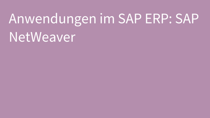 Anwendungen im SAP ERP: SAP NetWeaver