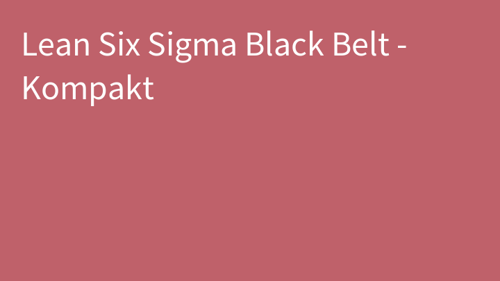 Lean Six Sigma Black Belt - Kompakt
