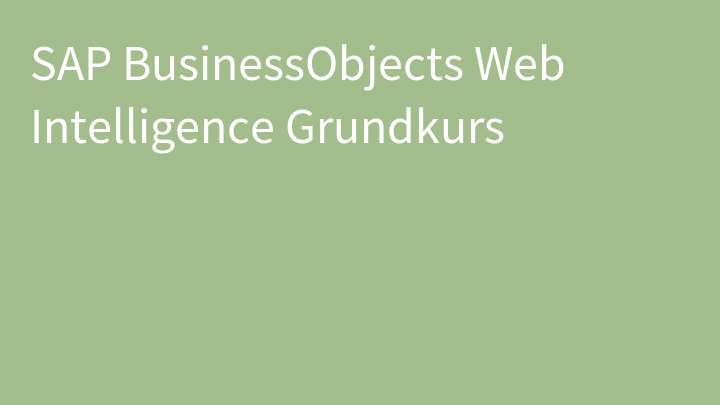 SAP BusinessObjects Web Intelligence Grundkurs