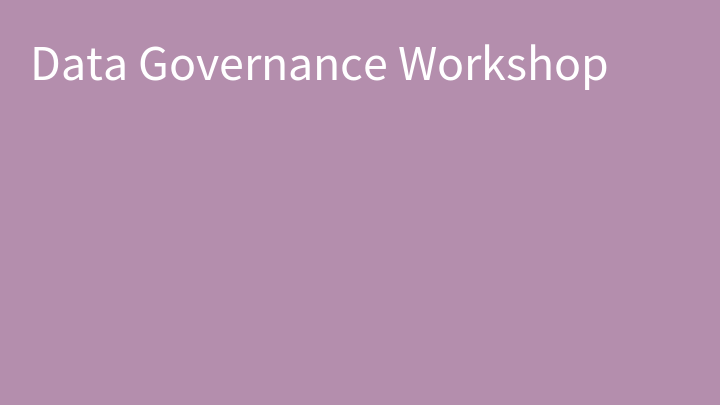Data Governance Workshop