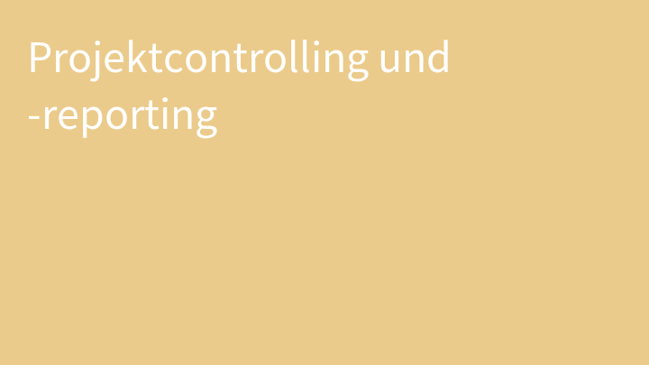 Projektcontrolling und -reporting