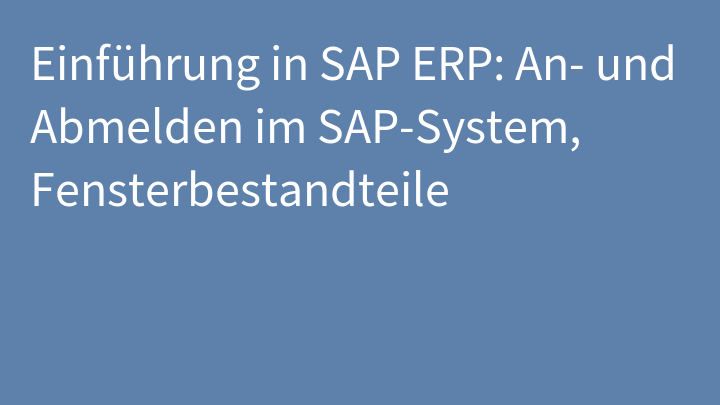 Einführung in SAP ERP: An- und Abmelden im SAP-System, Fensterbestandteile