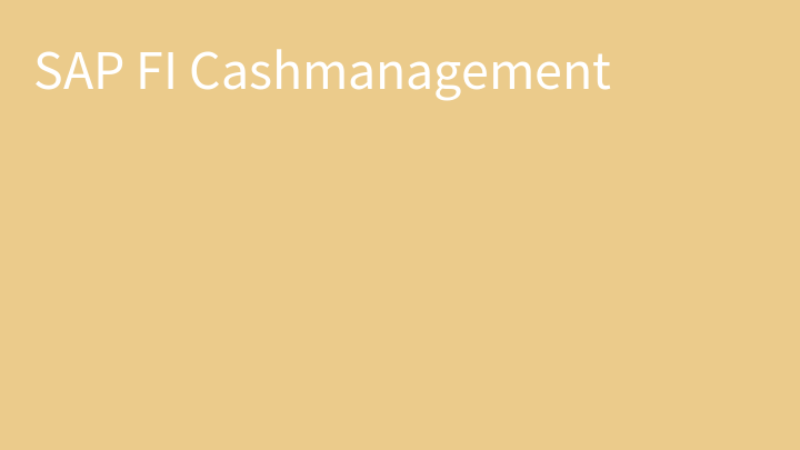 SAP FI Cashmanagement