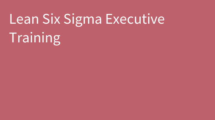 Lean Six Sigma Executive Training