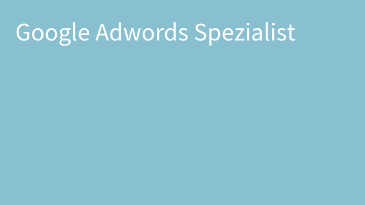 Google Adwords Spezialist