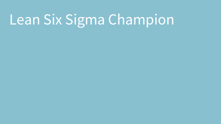 Lean Six Sigma Champion