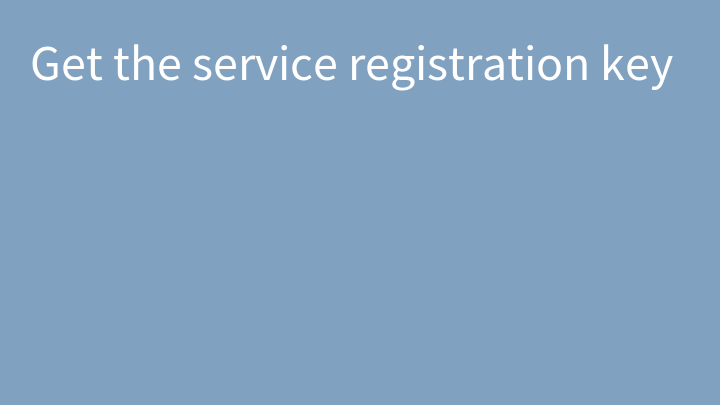 Get the service registration key